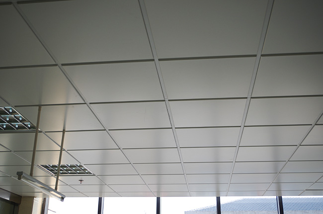 成都91桃色APP下载免费版与资阳卫生院合作案例 成都91桃色APP下载免费版与资阳卫生院合作案例